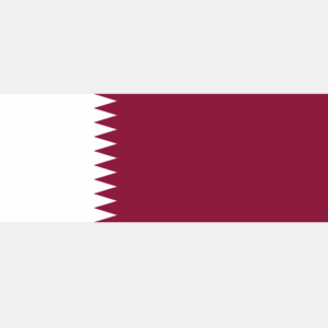 qatar rdp
