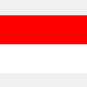 indonesia rdp