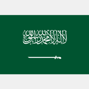 saudi arabia rdp
